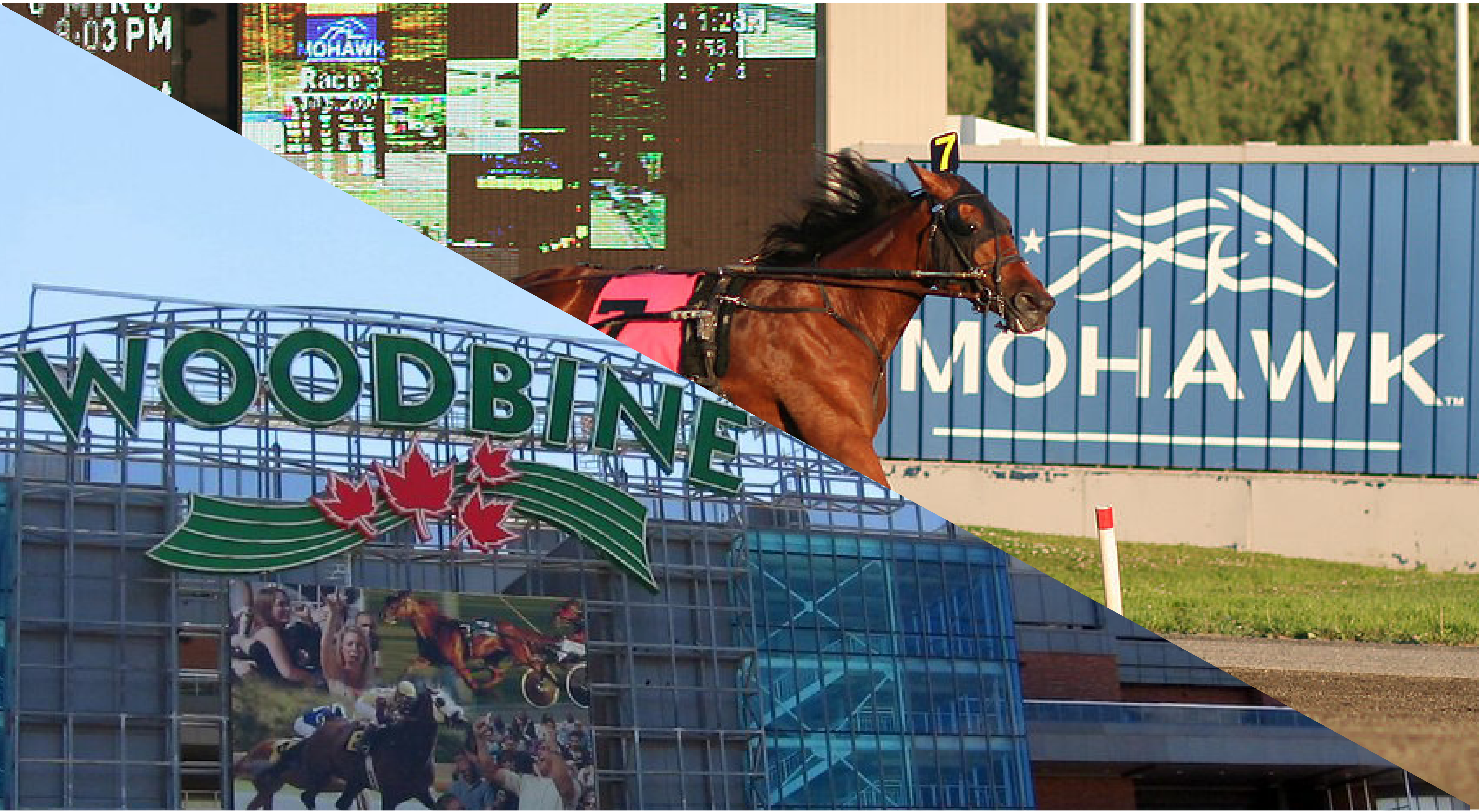 Read more about the article Workers Ratify Deal at Woodbine and Mohawk Racetracks
